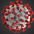Coronavirus Image